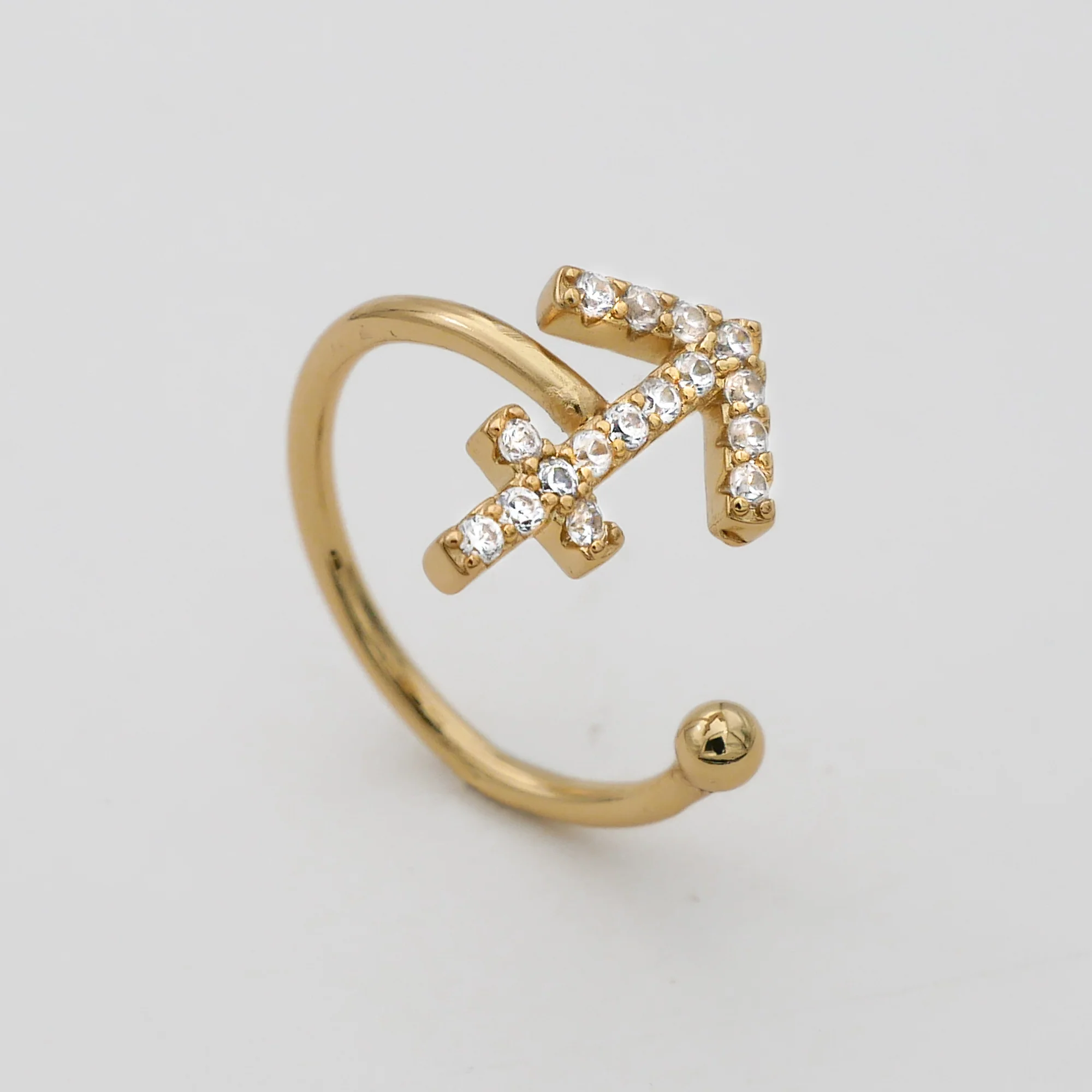 Pave Zodiac Ring - Image 4