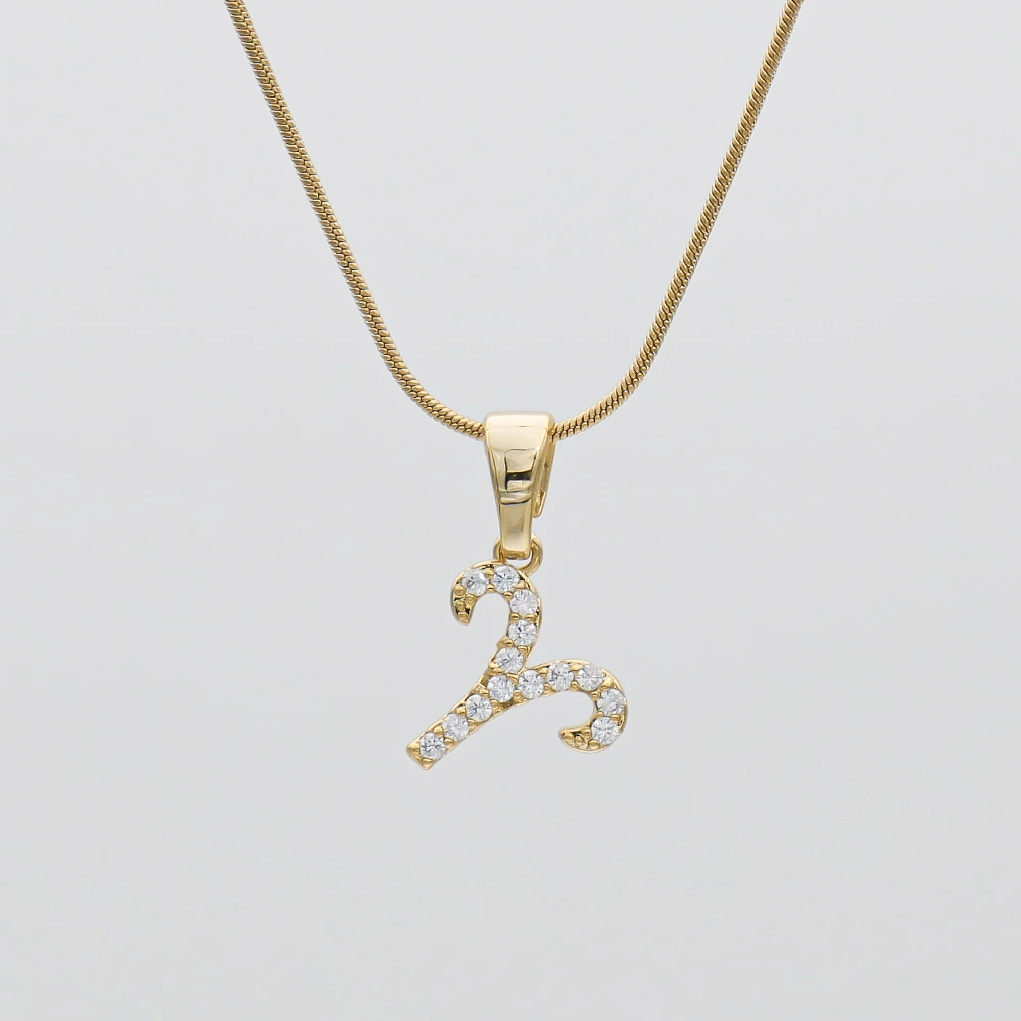 Pave Zodiac Symbol necklace - Image 11