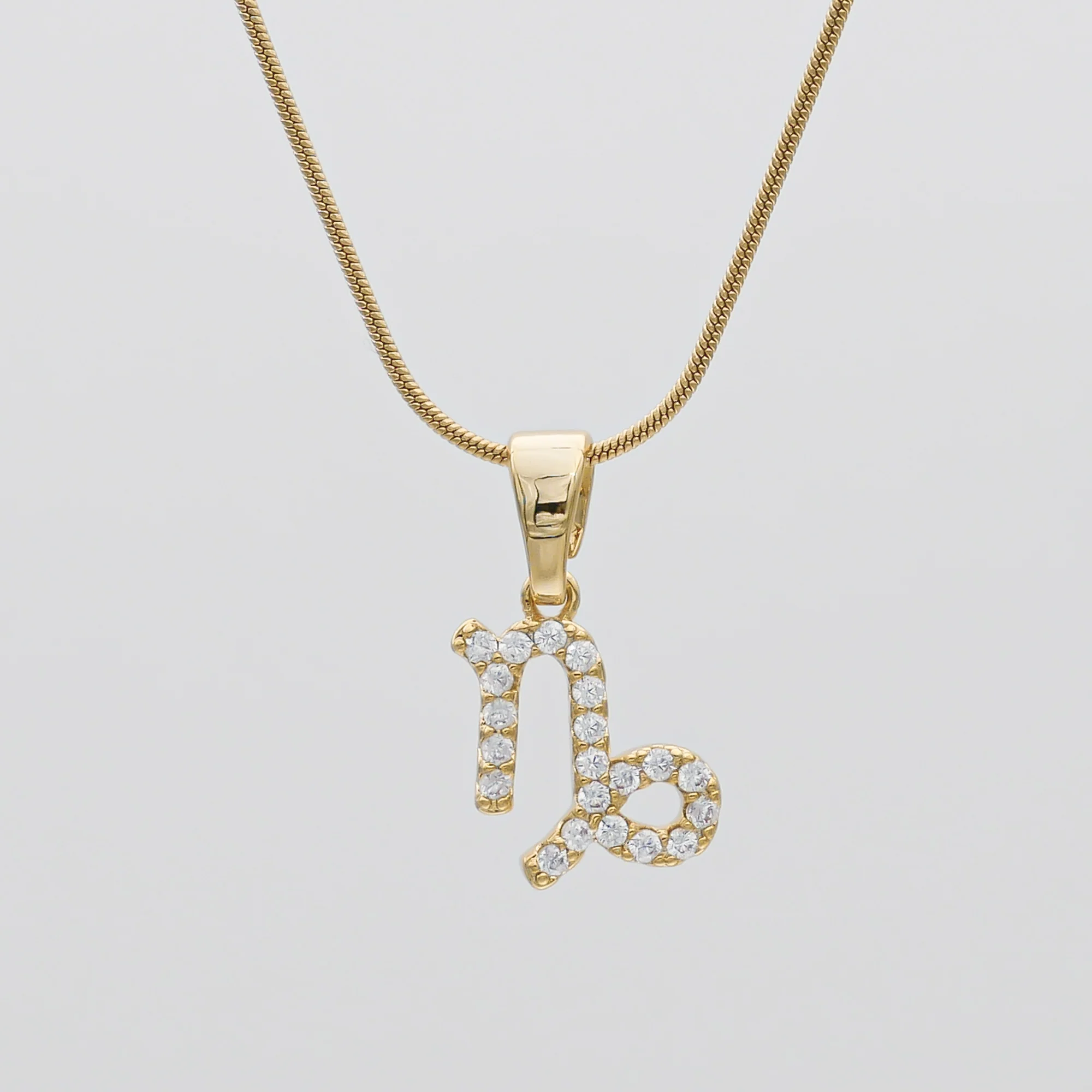 Pave Zodiac Symbol necklace - Image 15