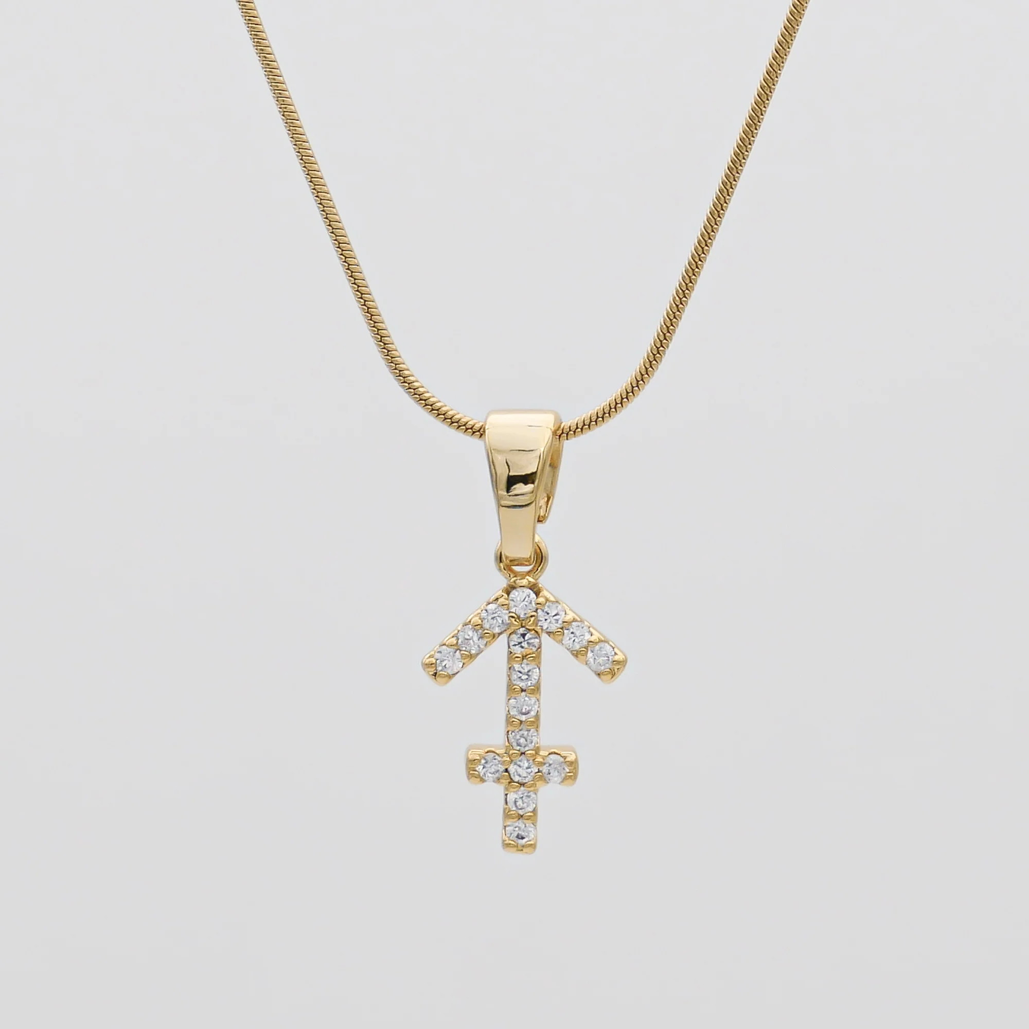 Pave Zodiac Symbol necklace - Image 21