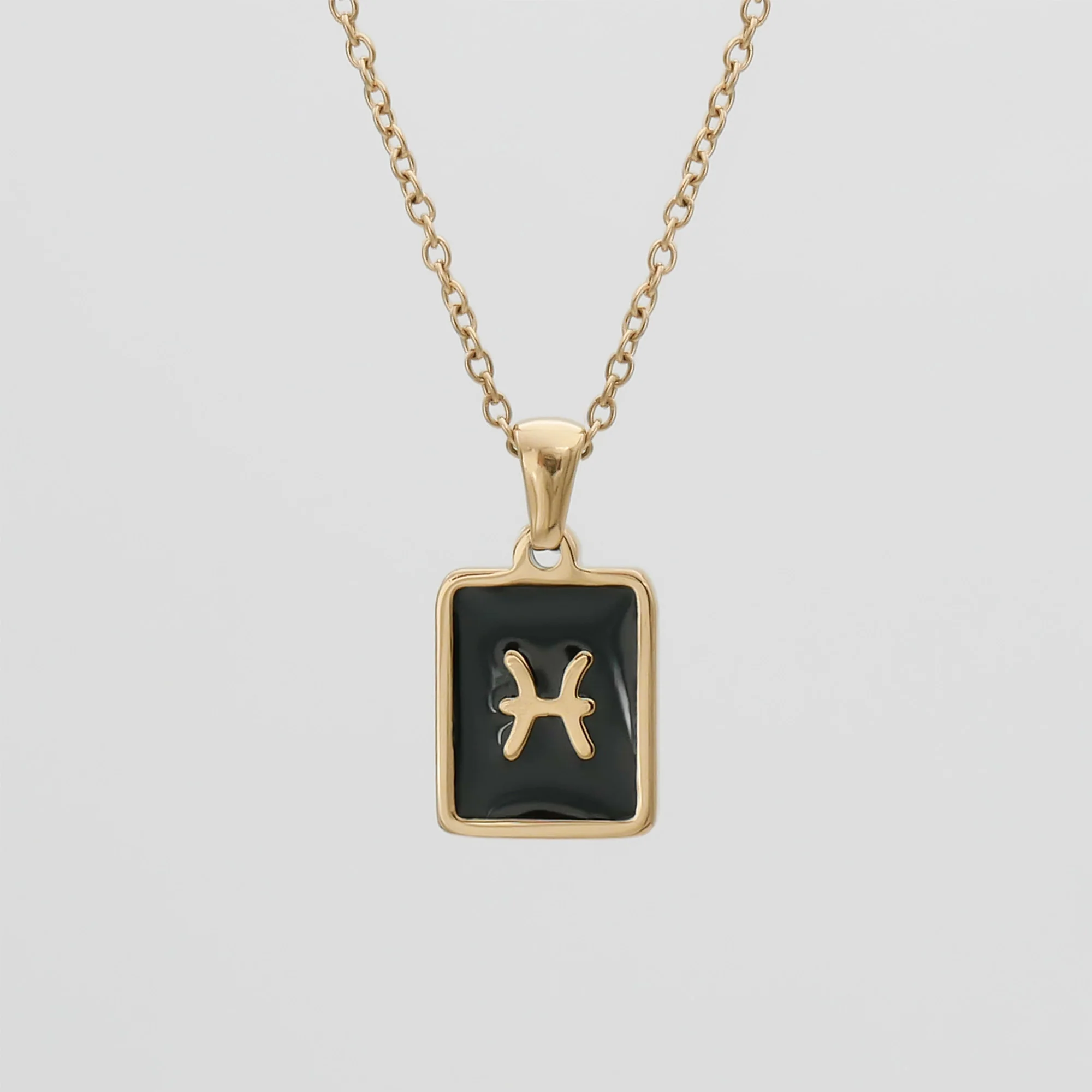 Onyx Zodiac Symbol Necklace - Image 13