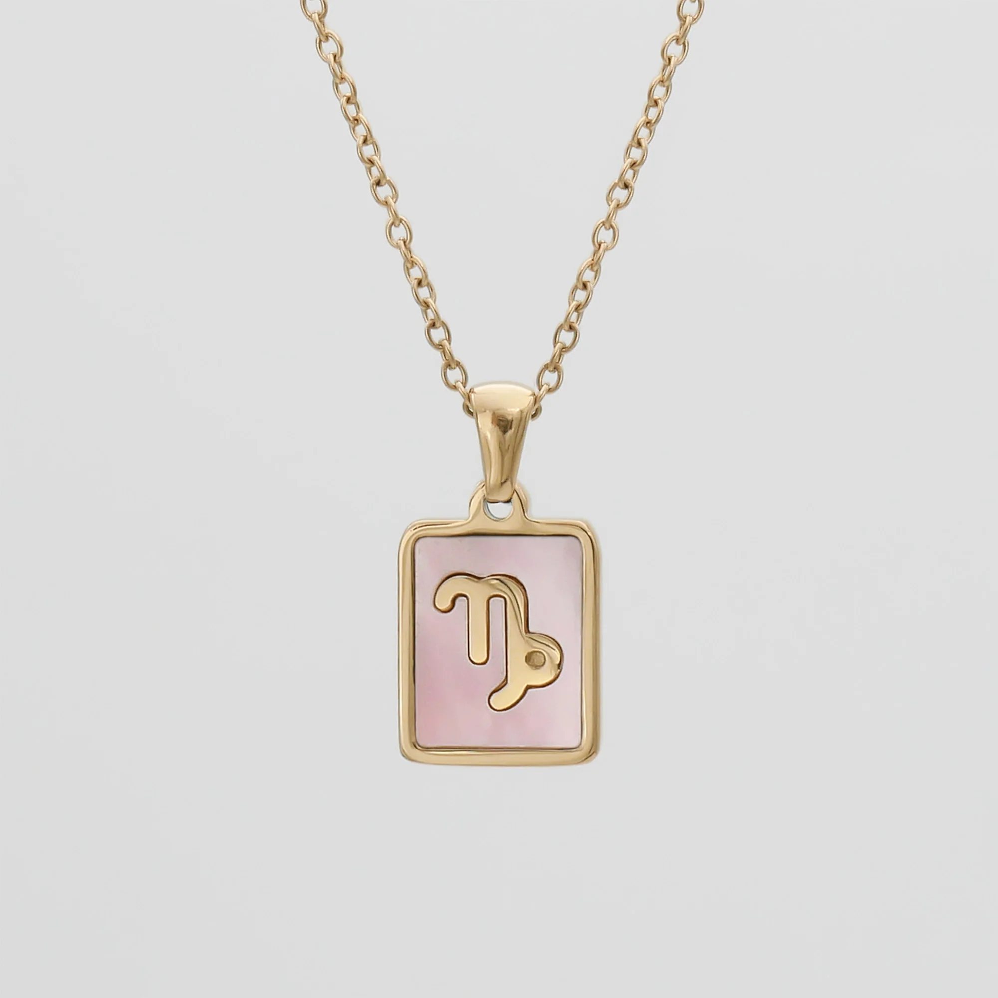 Pink Zodiac Symbol Necklace - Image 5