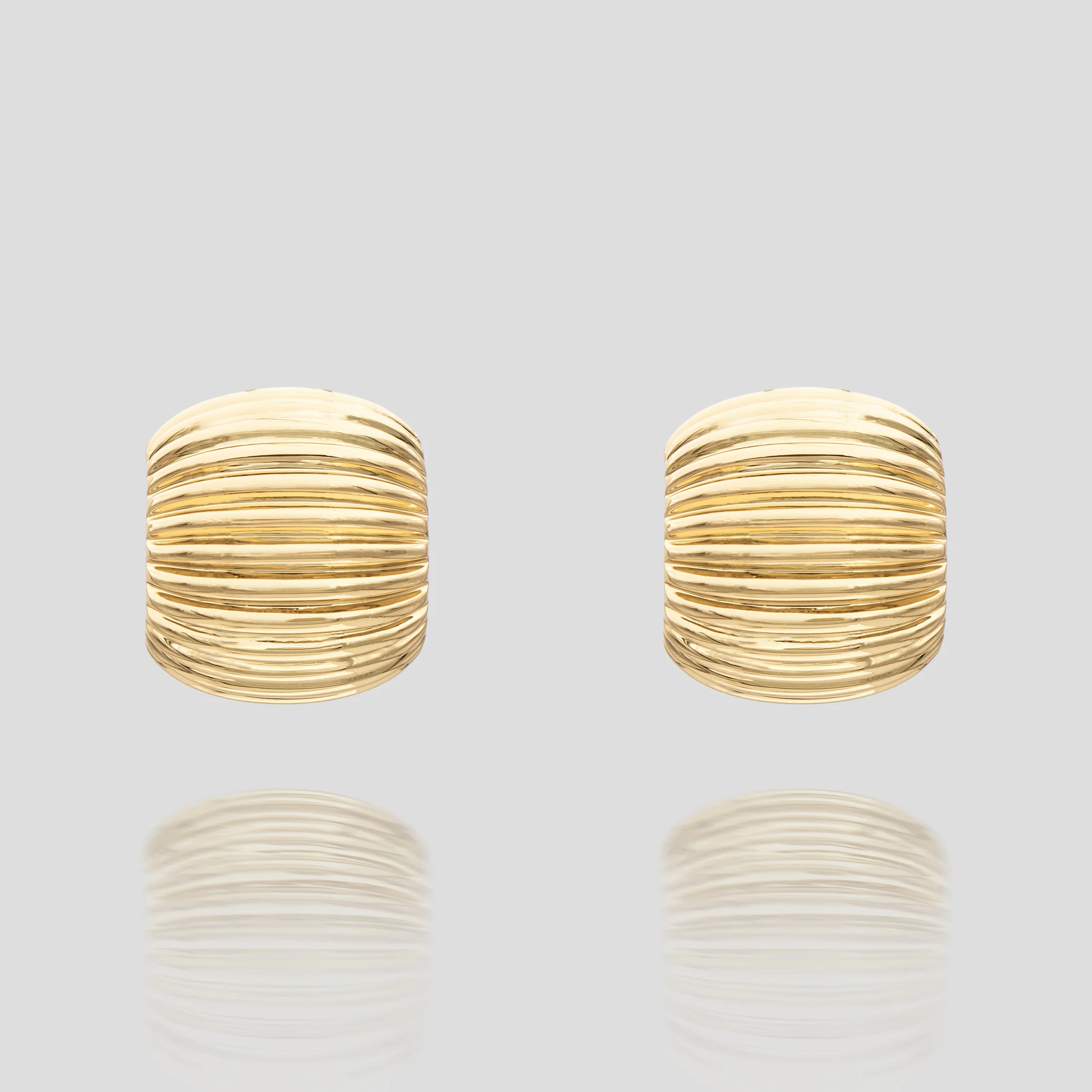 Raisa Ribbed Earrings